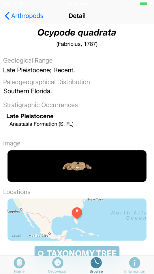 #5. Digital Atlas of Ancient Life (iOS) 由: Rodney C Spears
