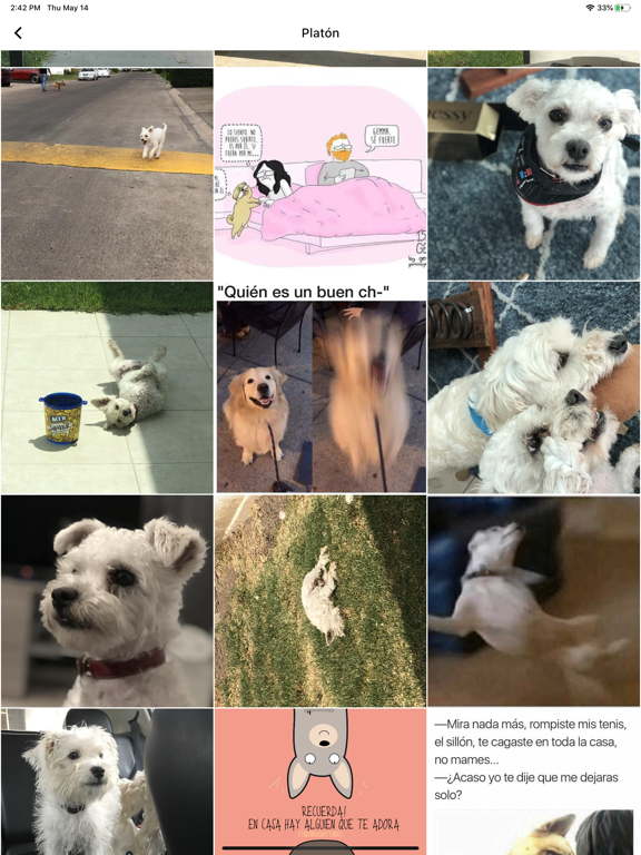 Screenshot #4 pour Canhijos