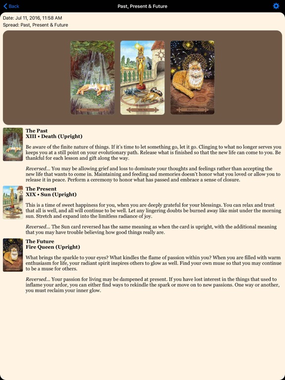 Mystical Cats Tarot iPad screenshot 4 - Entertainment app