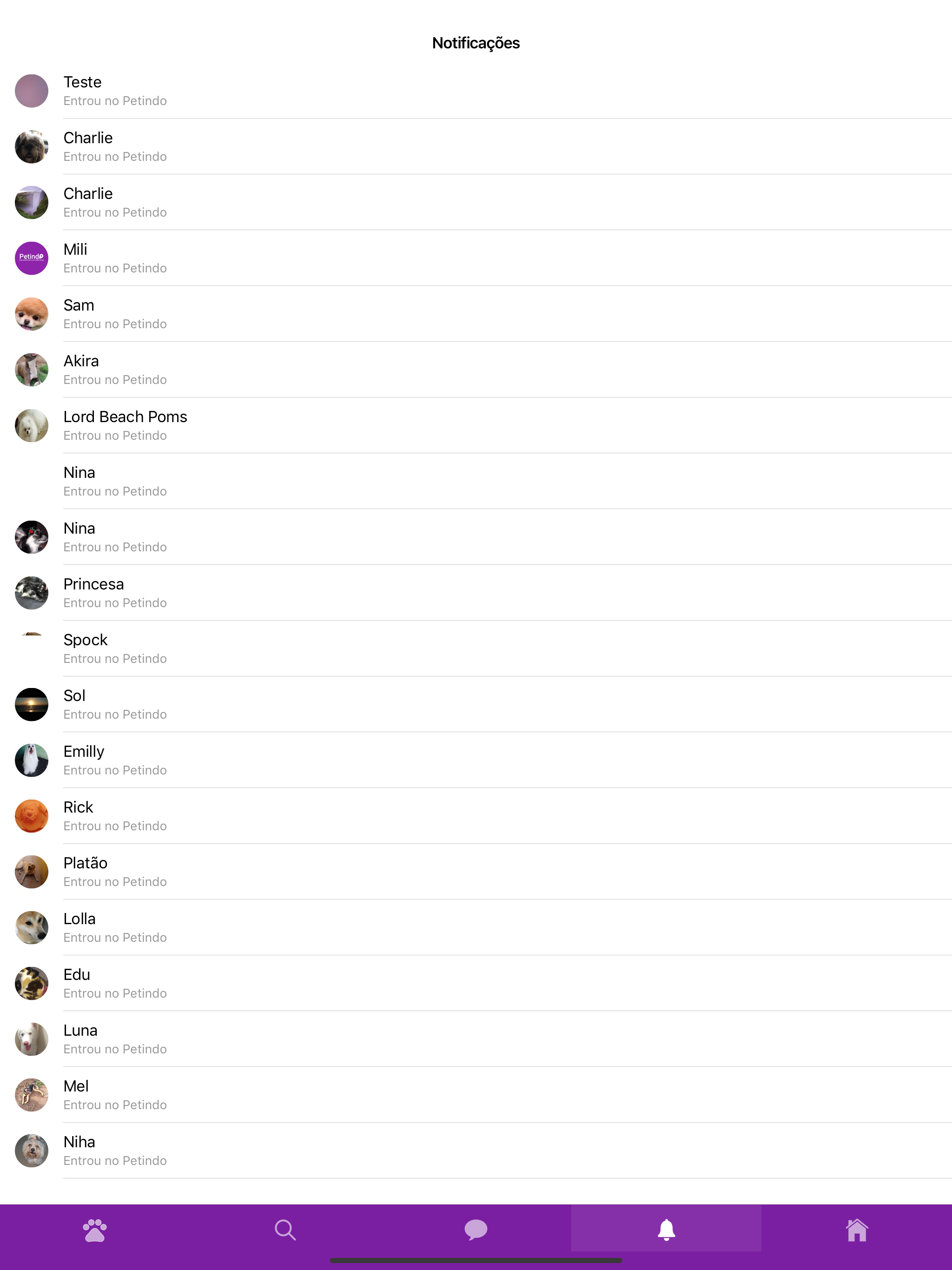Petindo screenshot 7