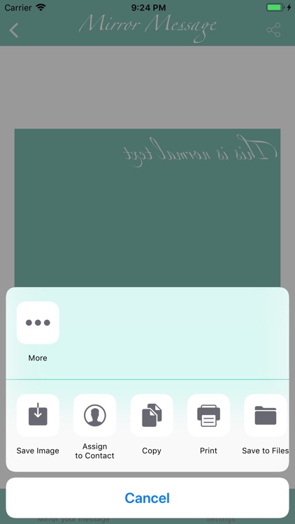 MirrorYourMessage screenshot-9