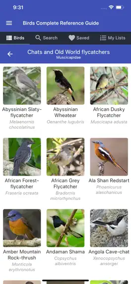 Game screenshot Birds Complete Reference Guide apk