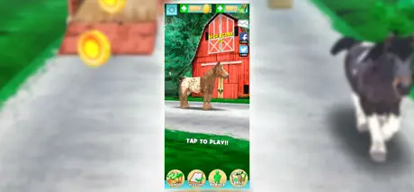 My Pony Horse Riding & Jumping