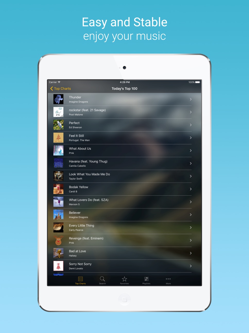 iPad screenshot