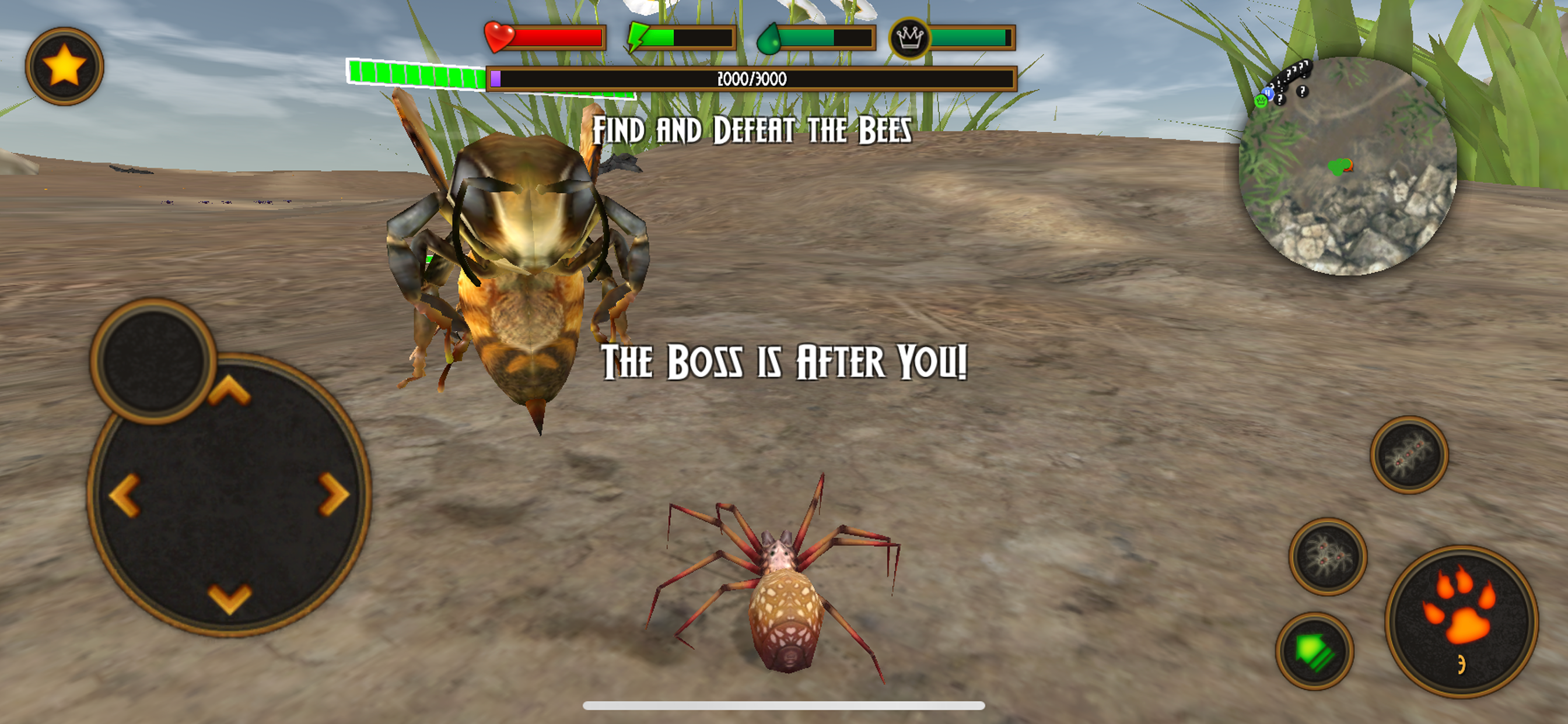 Life Of Spider screenshot 5