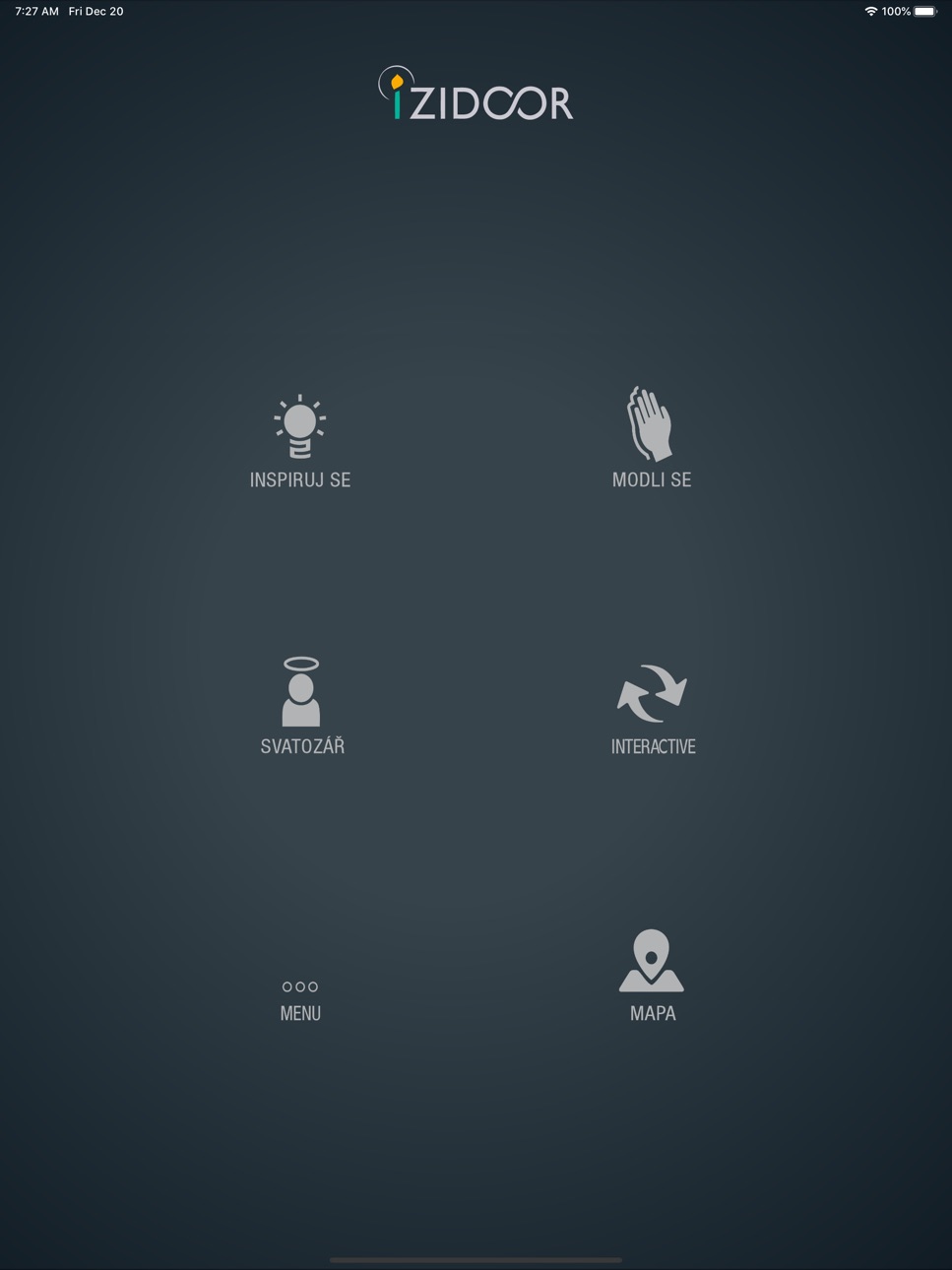 iPad screenshot