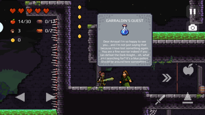Screenshot from Apple Knight