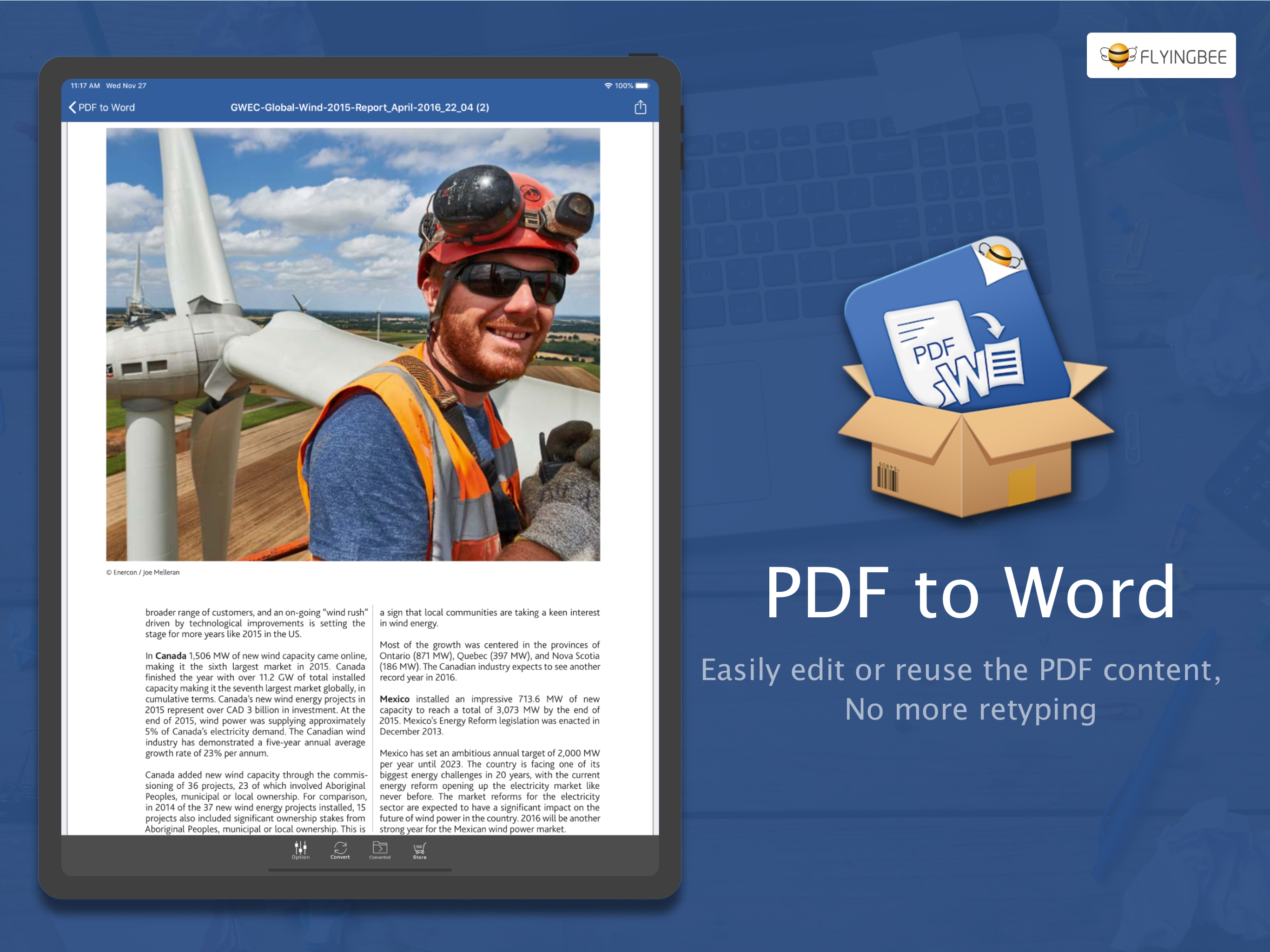PDF to Word by Flyingbee