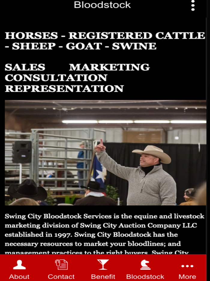Swing City Auction Co