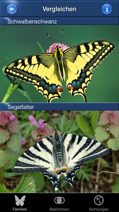 Screenshot #2 pour Schmetterling Id - Tagfalter