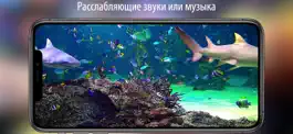 Game screenshot Аквариум живые обои HD hack