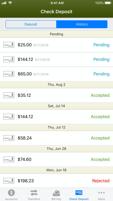 The Southern Credit Union Screenshot