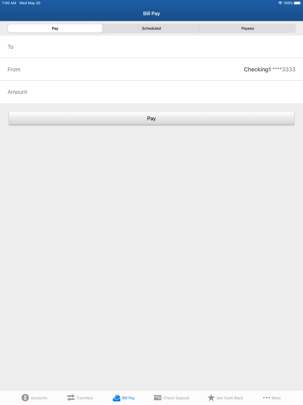 iPad screenshot