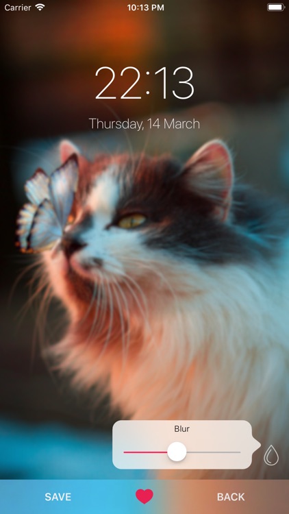 Cat Wallpapers ° screenshot-5