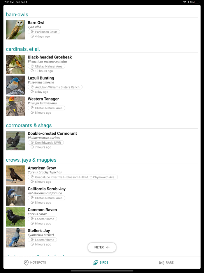 GoBird - Guide to Nearby Birds
