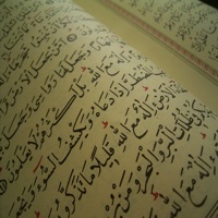 Saad Al Ghamdi Offline PC 용