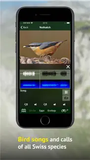 birds of ch -photo guide iphone screenshot 4