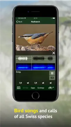 Birds of CH -Photo Guide iPhone image 4