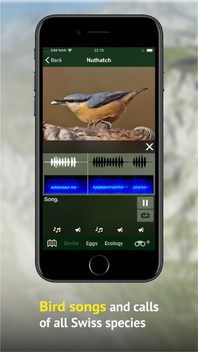 Birds of CH -Photo Guide Screenshot