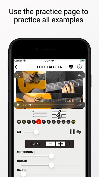 Learn Flamenco Guitar screenshot 2