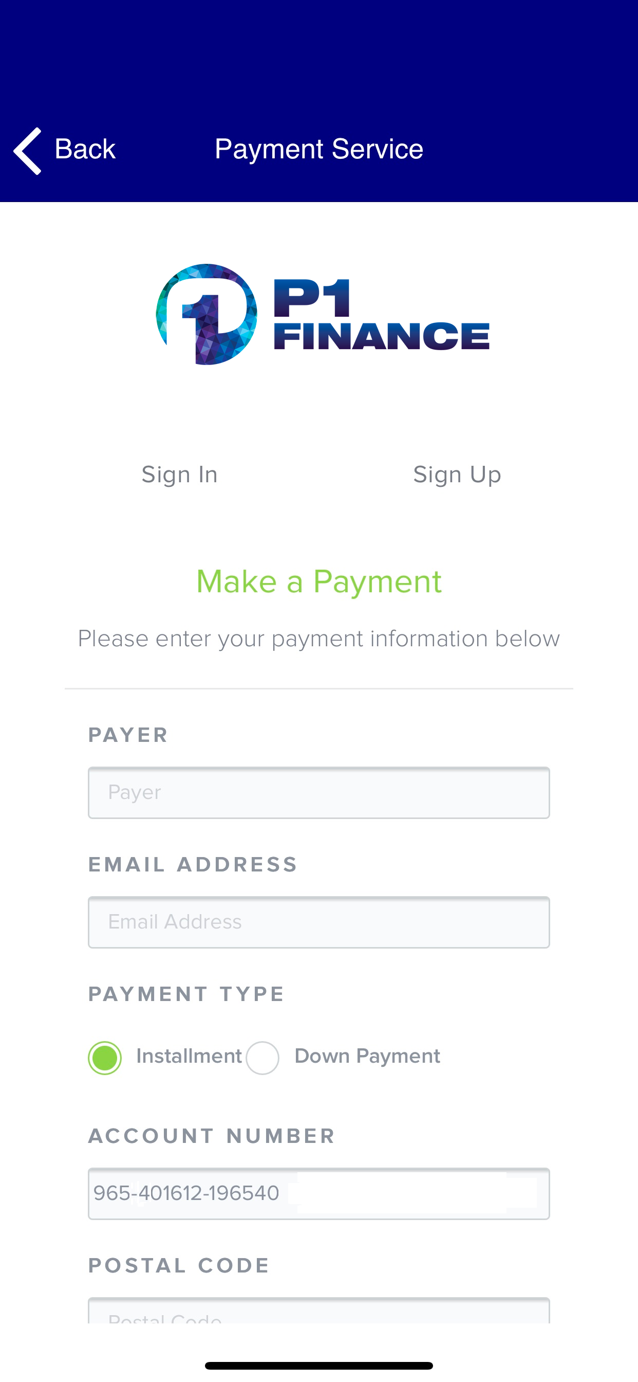 P1 Finance for iPhone
