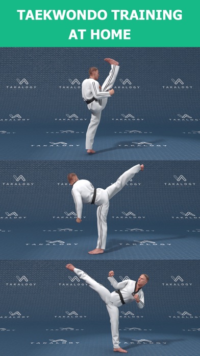 Mastering Taekwondo Training screenshot 2