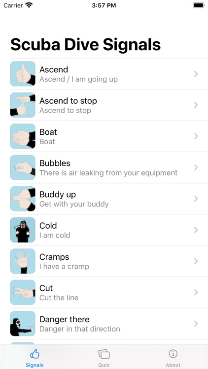 Scuba Dive Signals