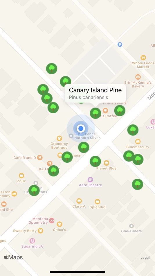 #6. Urban Trees (iOS) Podle: Harald Lamer