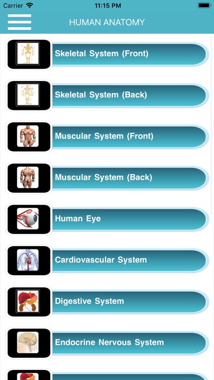 Human Anatomy Body Parts Guide