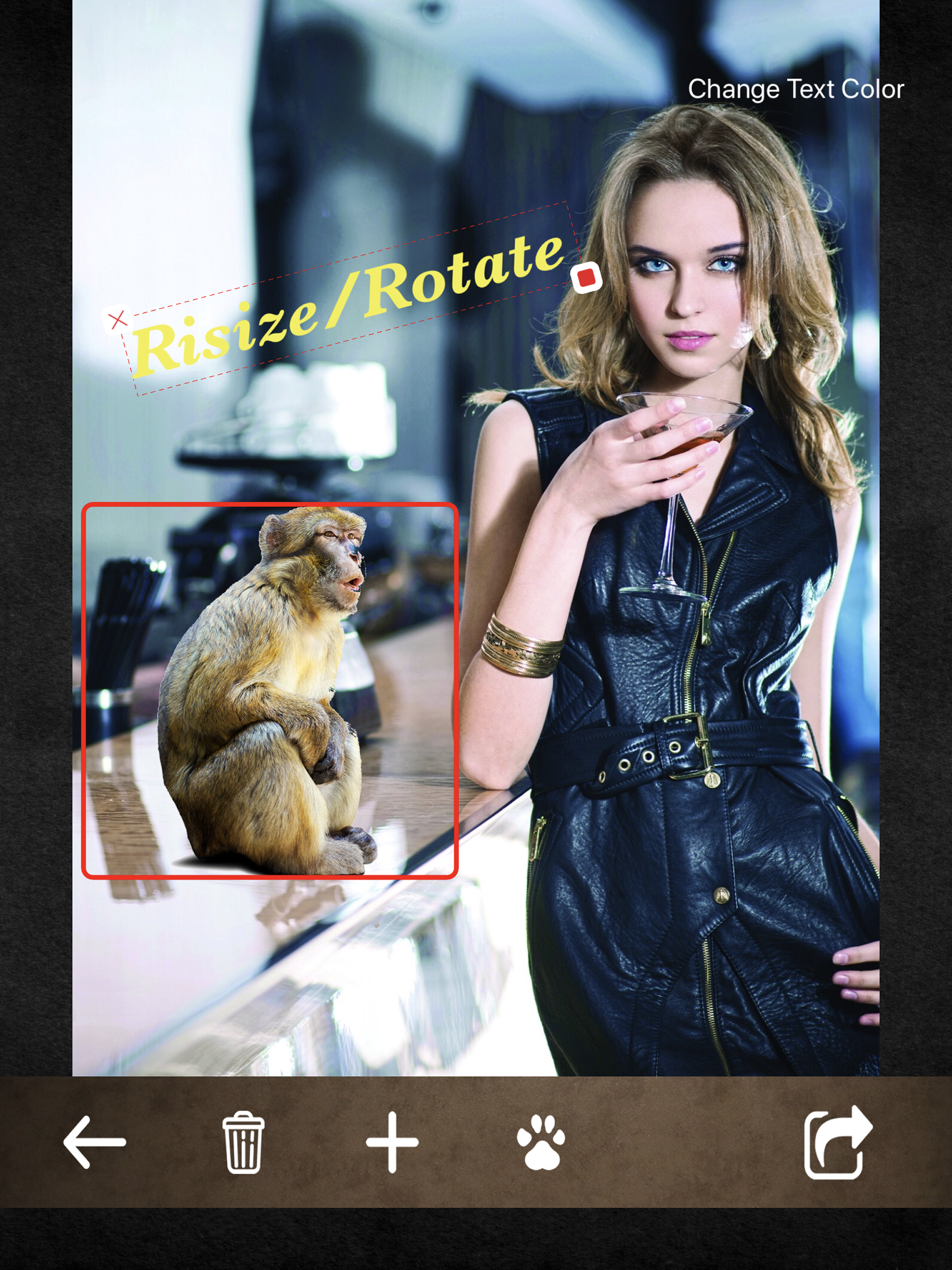 Animal Camera -Pro