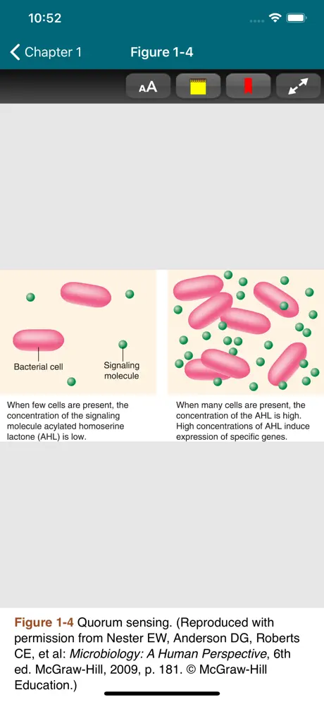 Medical Microbiology, 28/E