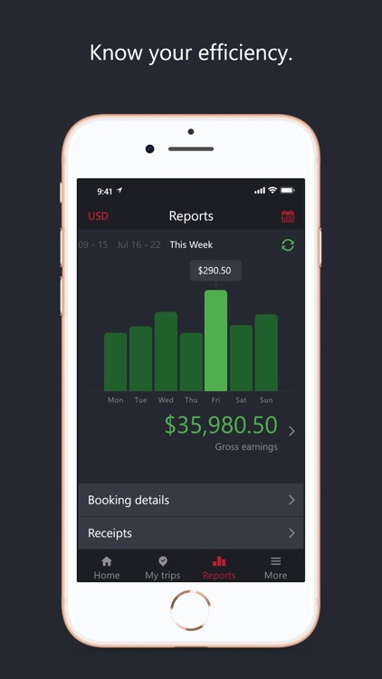 Plush Driver screenshot-4
