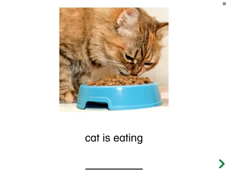 See and Learn Phrases 1