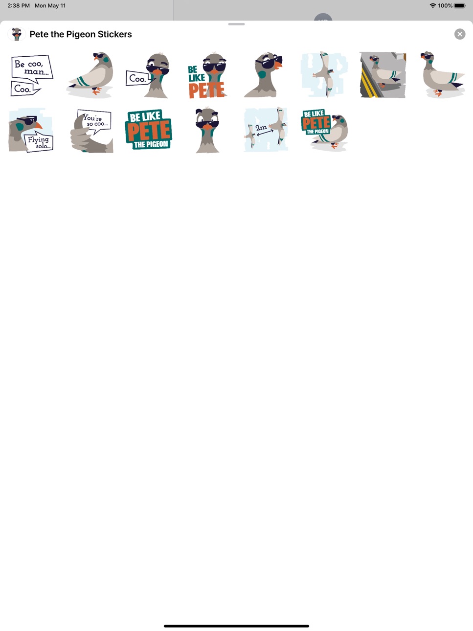 iPad screenshot