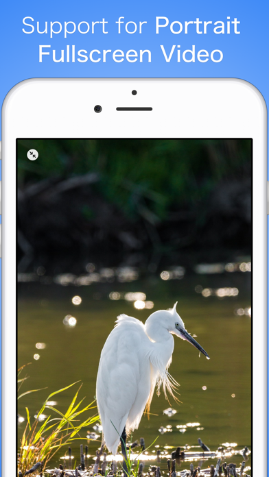 Videoxy app screenshot 3