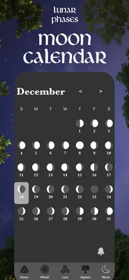 Game screenshot Wheel of the Year - Moon Magic hack