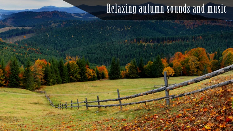 Autumn Ambience HD