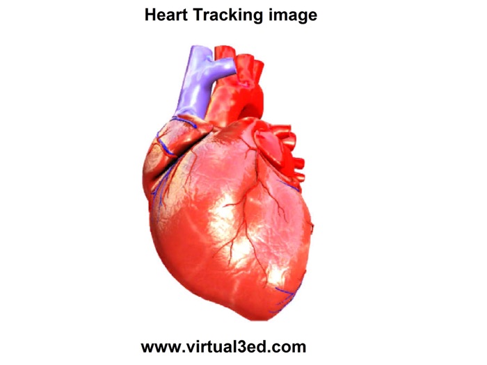 AR Human heart – A glimpse
