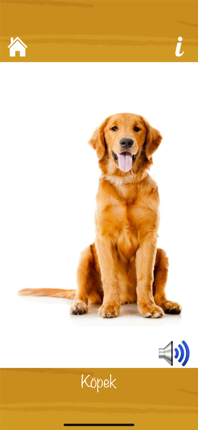 Learn Animals and Sounds