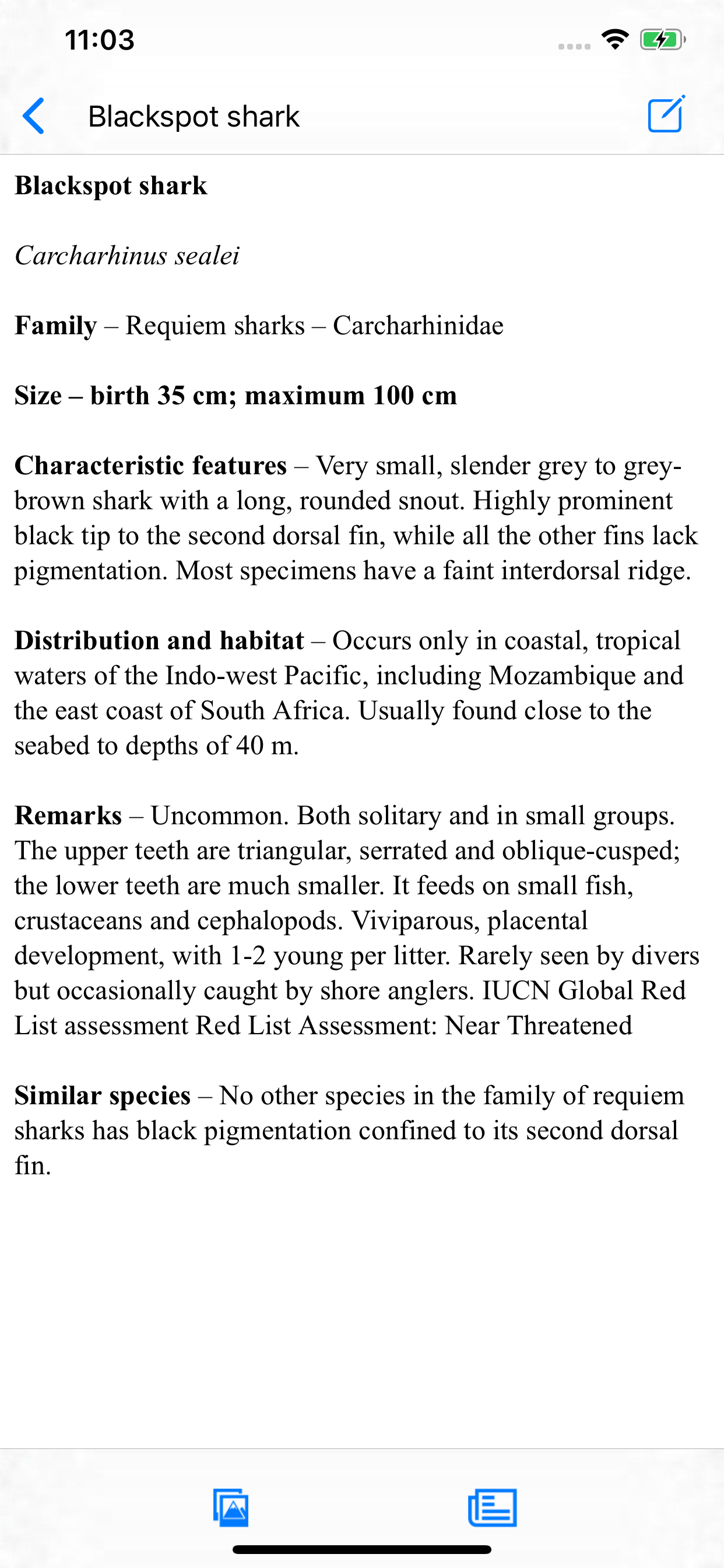 eGuide to Sharks and Rays screenshot 3