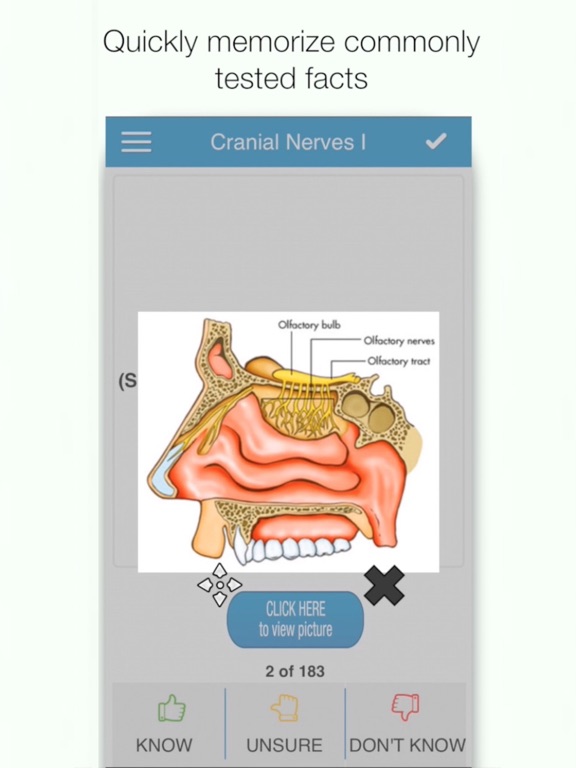 Screenshot #4 pour USMLE Anatomy Cram Cards