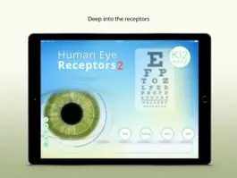 Game screenshot Human Eye Receptors 2 mod apk
