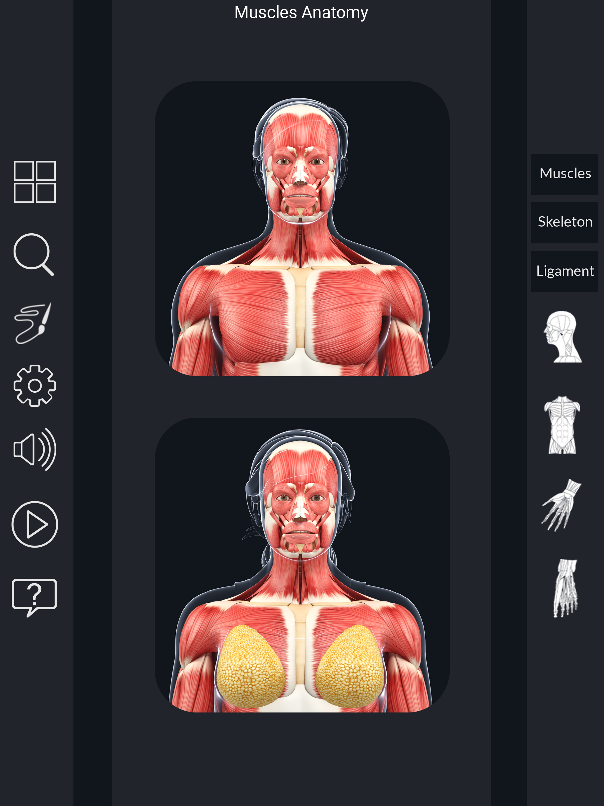 My Muscle Anatomy screenshot 9