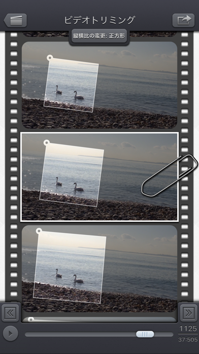 Video Crop & Zoom - HD のスクリーンショット