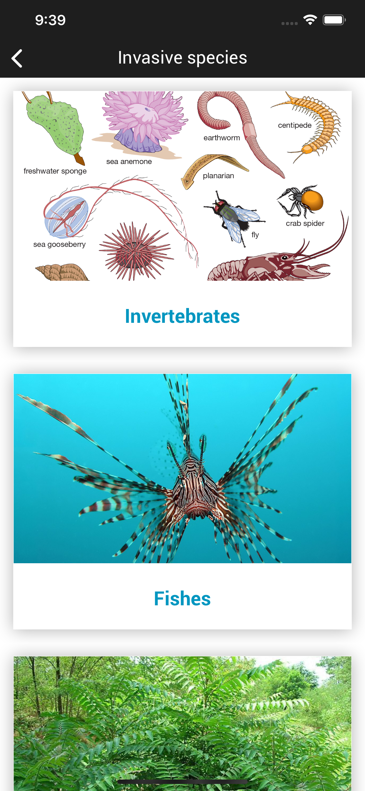 SEAWatcher screenshot 3