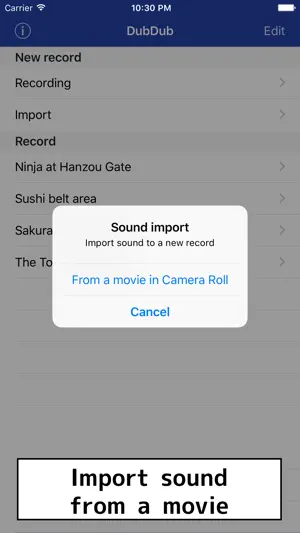 DubDub recorder screenshot 2