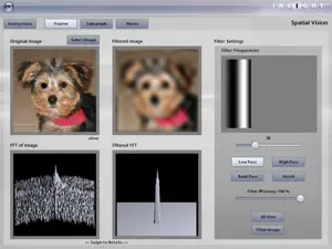 iNSIGHT Spatial Vision screenshot 2