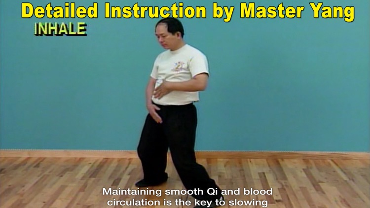 Qigong Massage: Partner screenshot-3