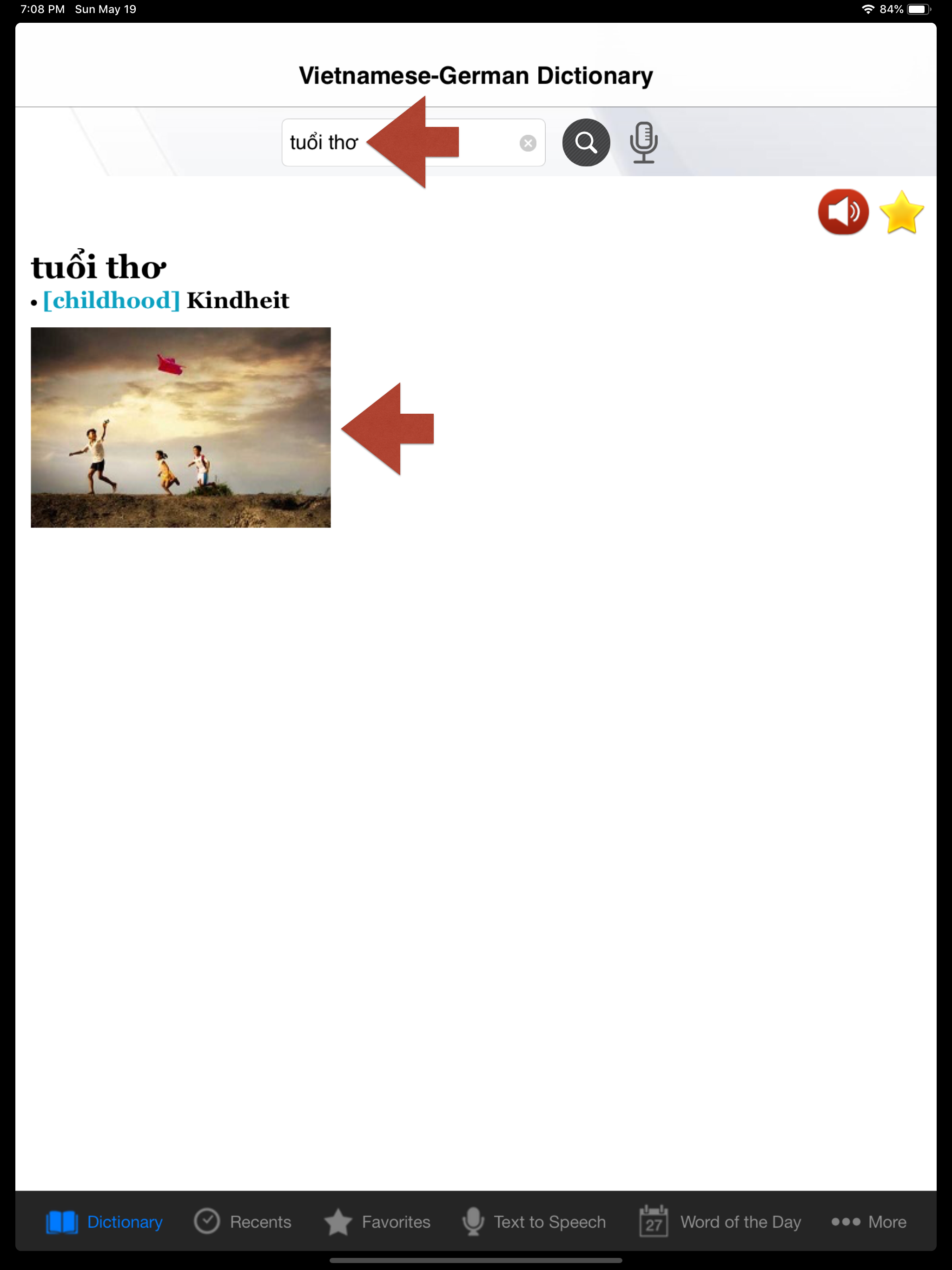 Vietnamese-German Dictionary
