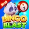 Join the world’s #1 free bingo app, Bingo Blast